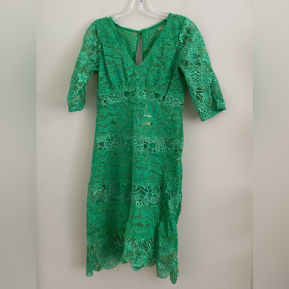Plenty by Tracey Reese for Anthropologie Angelica Lace Midi dress - Picture 11 of 12